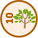 You've earned a badge for reading 10 "Green" news articles. Read 10 "Green" News Articles