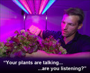 Thumb_plantssecret-language-of-plants